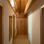 Arera